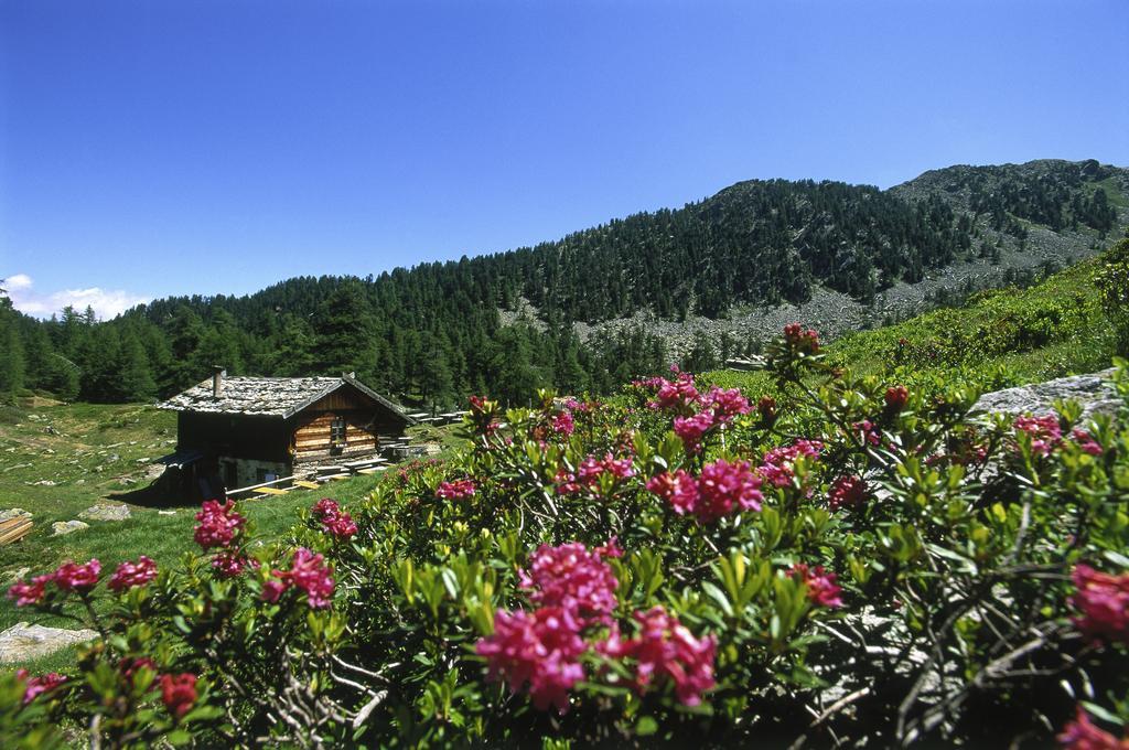 Residence Feldhof Castelbello Esterno foto